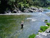 gal/Fishing 1/_thb_P7040107.JPG